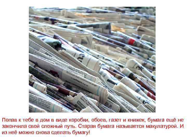 Попав к тебе в дом в виде коробки, обоев, газет и книжек, бумага ещё