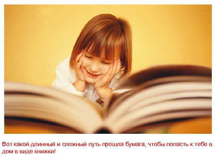 Вот какой длинный и сложный путь прошла бумага, чтобы попасть к тебе в дом