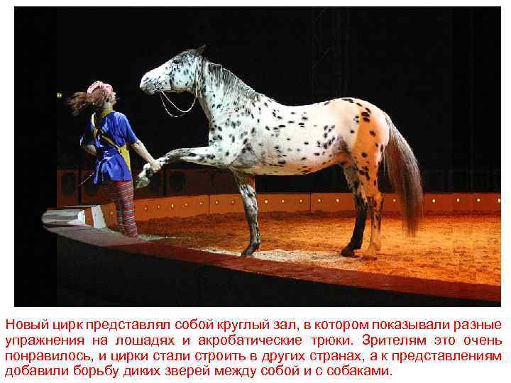 Новый цирк представлял собой круглый зал, в котором показывали разные упражнения на лошадях и