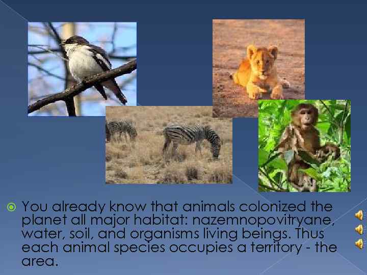  You already know that animals colonized the planet all major habitat: nazemnopovitryane, water,