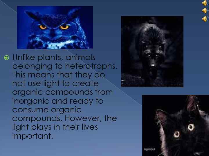  Unlike plants, animals belonging to heterotrophs. This means that they do not use