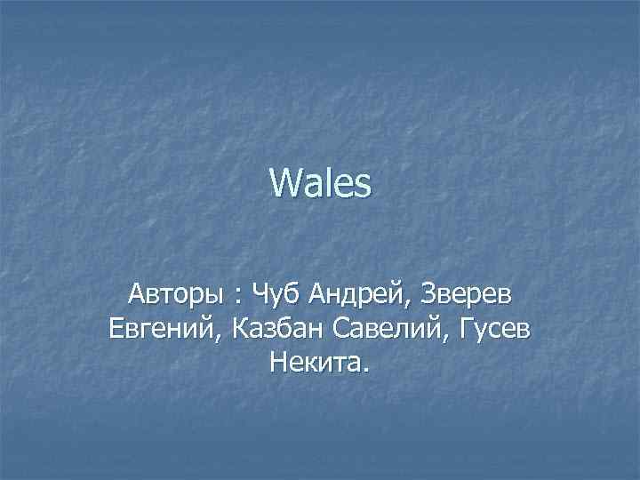 Wales Авторы : Чуб Андрей, Зверев Евгений, Казбан Савелий, Гусев Некита. 
