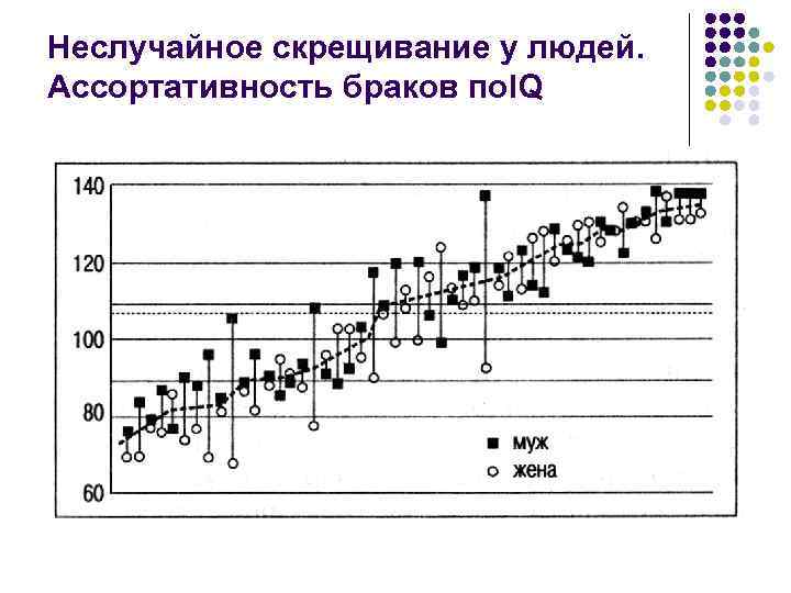 Неслучайное скрещивание у людей. Ассортативность браков по. IQ 