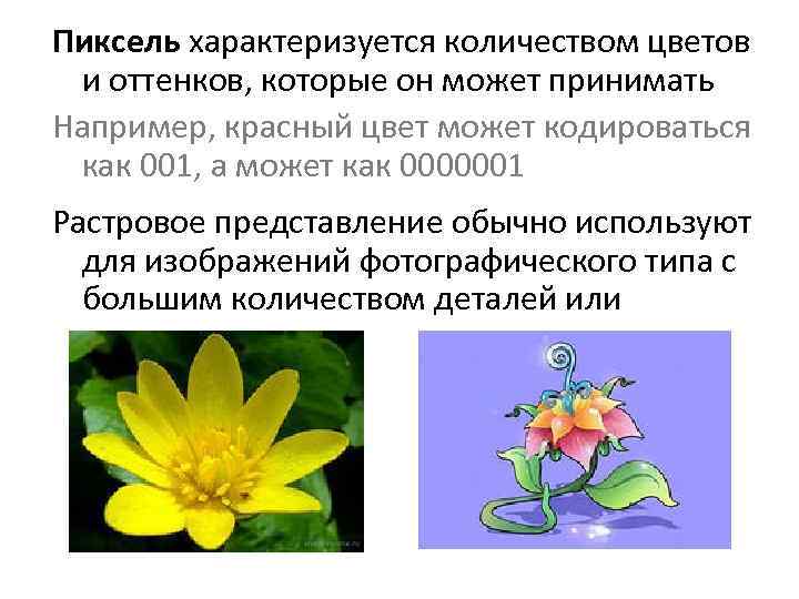 Пиксель характеризуется количеством цветов и оттенков, которые он может принимать Например, красный цвет может