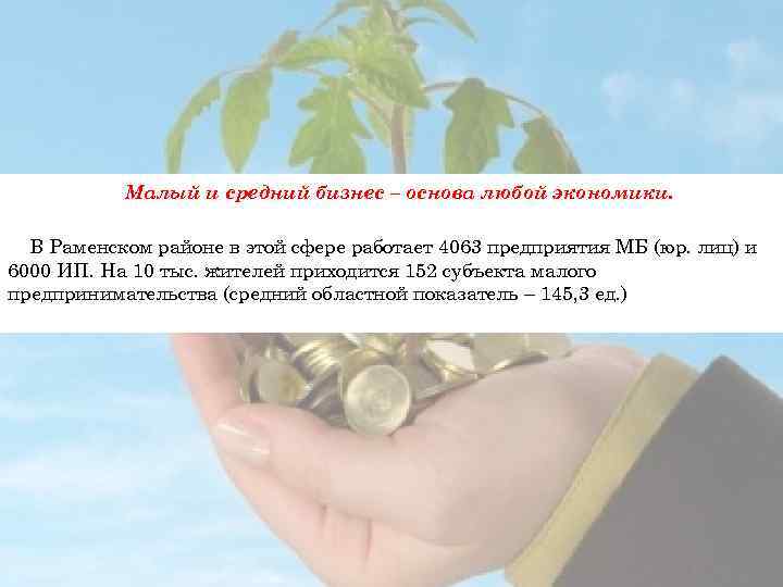 Малый и средний бизнес – основа любой экономики. В Раменском районе в этой сфере
