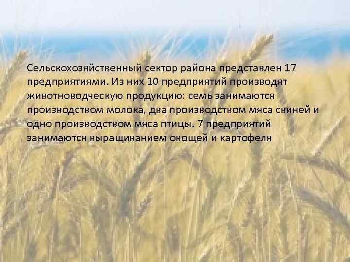 Сельскохозяйственный сектор района представлен 17 предприятиями. Из них 10 предприятий производят животноводческую продукцию: семь