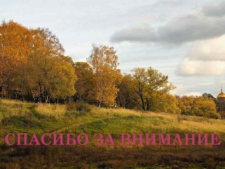 СПАСИБО ЗА ВНИМАНИЕ 