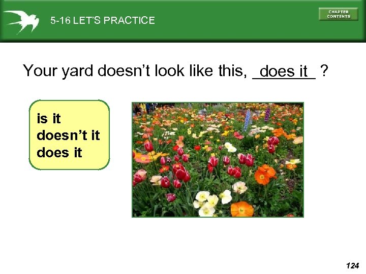 5 -16 LET’S PRACTICE Your yard doesn’t look like this, _______ ? does it