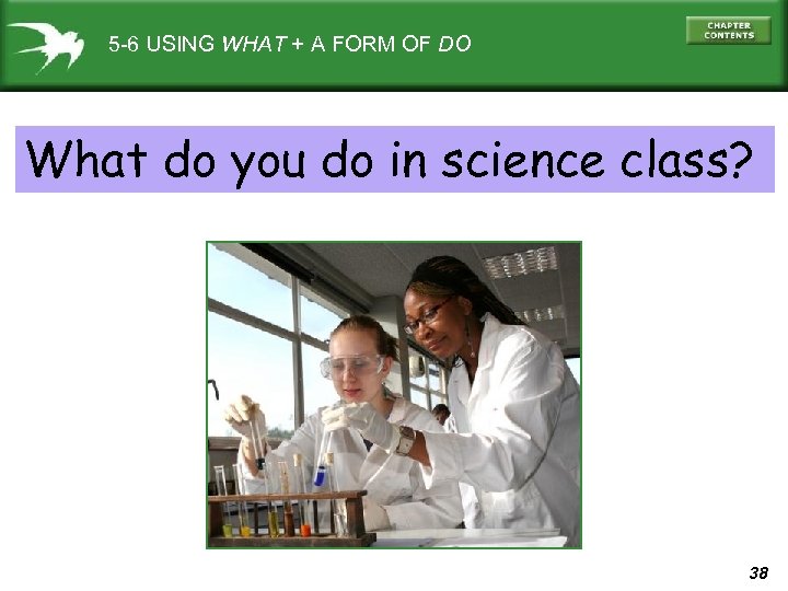 5 -6 USING WHAT + A FORM OF DO What do you do in