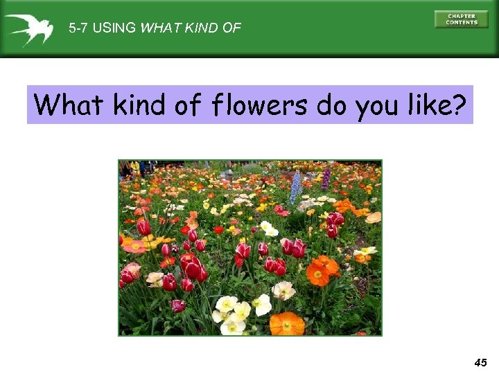 5 -7 USING WHAT KIND OF What kind of flowers do you like? 45