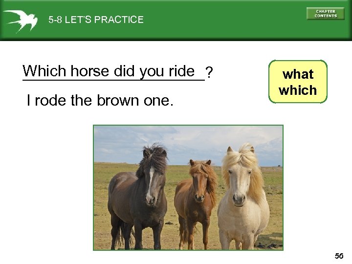 5 -8 LET’S PRACTICE Which horse did you ride ___________? I rode the brown