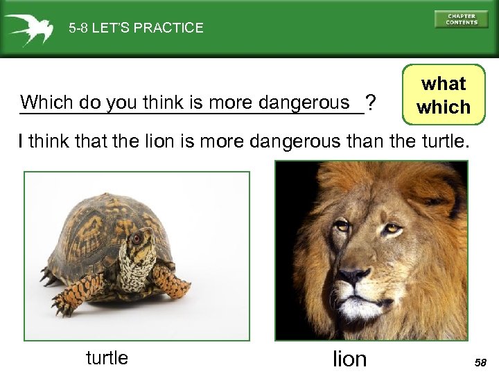 5 -8 LET’S PRACTICE Which do you think is more dangerous ______________? what which