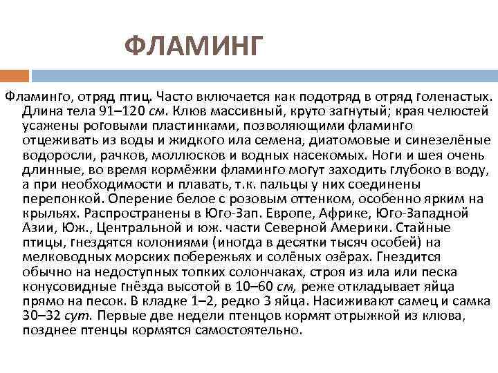 ФЛАМИНГ Фламинго, отряд птиц. Часто включается как подотряд в отряд голенастых. Длина тела 91–