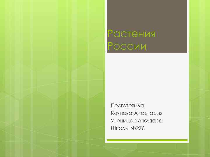 Растения России Подготовила Кочнева Анастасия Ученица 3 А класса Школы № 276 
