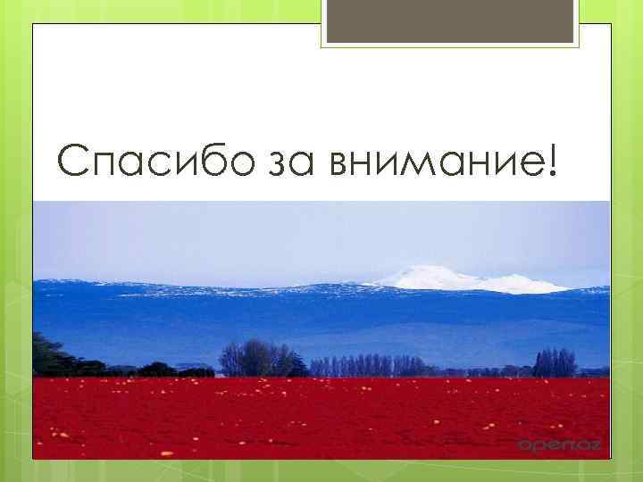 Спасибо за внимание! 