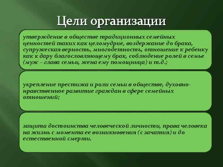 Цели организации утверждение в обществе традиционных семейных ценностей таких как целомудрие, воздержание до брака,