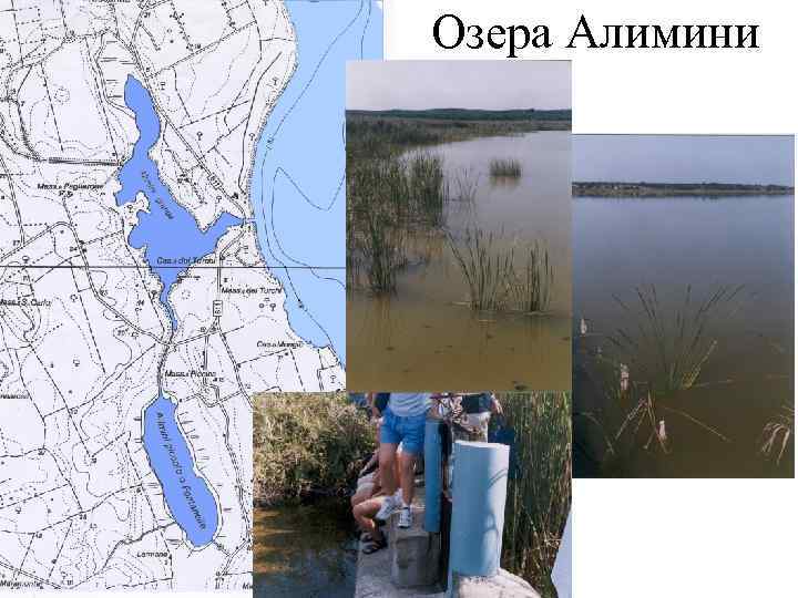 Озера Алимини 