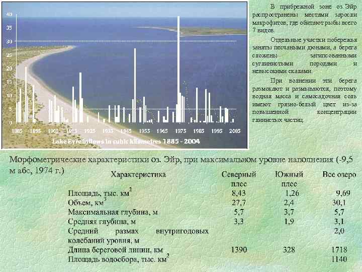 В прибрежной зоне оз. Эйр распространены местами заросли макрофитов, где обитают рыбы всего 7