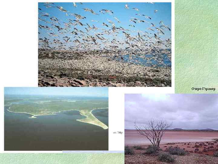 Озеро Гэрднер 