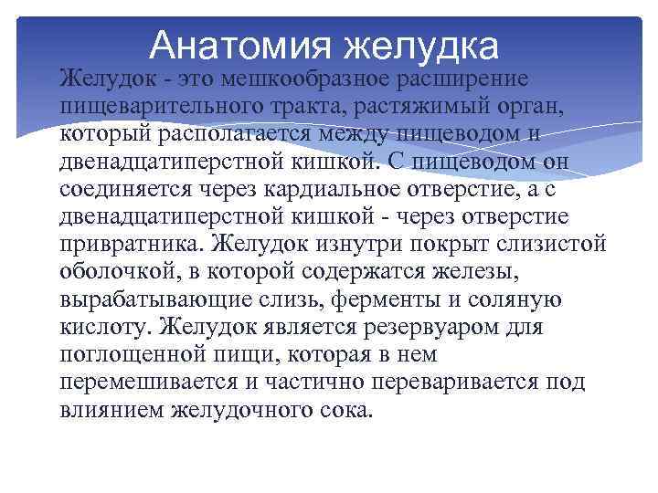 Анатомия желудка Желудок это мешкообразное расширение пищеварительного тракта, растяжимый орган, который располагается между пищеводом