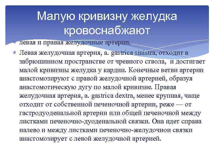 Малую кривизну желудка кровоснабжают левая и правая желудочные артерии. Левая желудочная артерия, a. gastrica