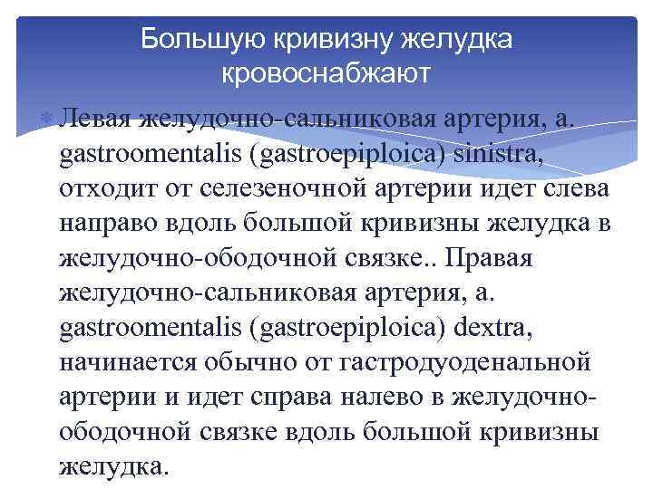 Большую кривизну желудка кровоснабжают Левая желудочно сальниковая артерия, a. gastroomentalis (gastroepiploica) sinistra, отходит от