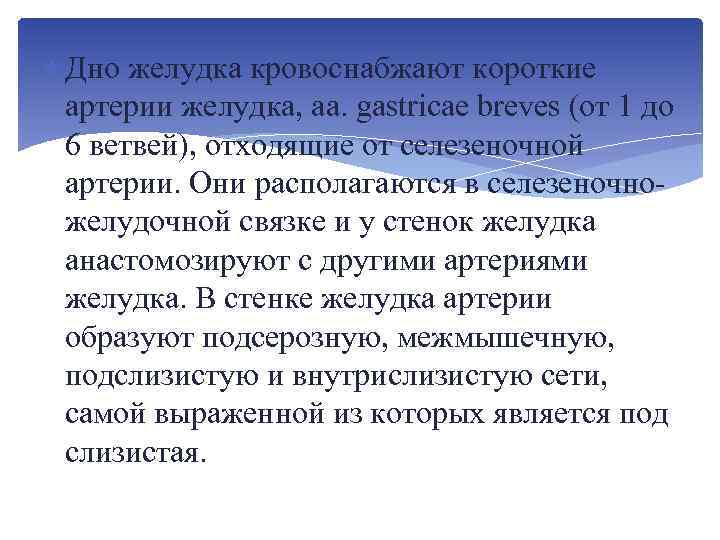  Дно желудка кровоснабжают короткие артерии желудка, аа. gastricae breves (от 1 до 6