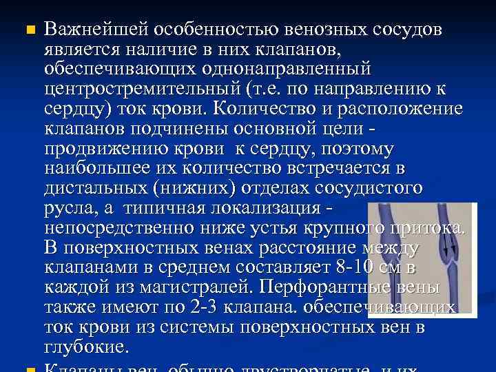 n Важнейшей особенностью венозных сосудов является наличие в них клапанов, обеспечивающих однонаправленный центростремительный (т.