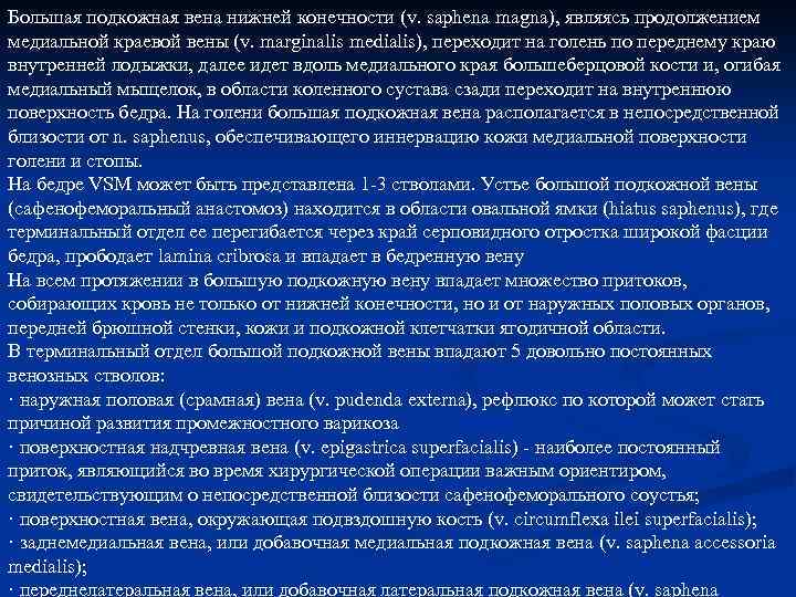 Большая подкожная вена нижней конечности (v. saphena magna), являясь продолжением медиальной краевой вены (v.