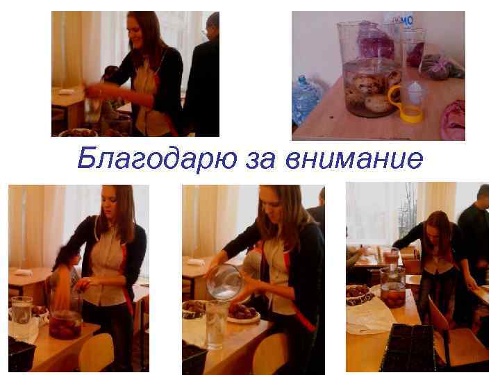 Благодарю за внимание 