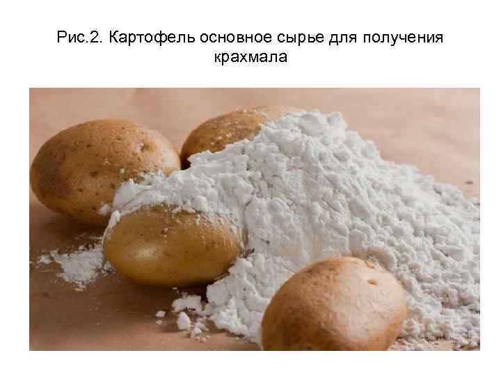 Рис. 2. Картофель основное сырье для получения крахмала 