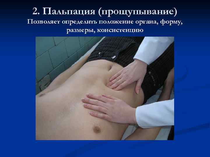 2. Пальпация (прощупывание) Позволяет определить положение органа, форму, размеры, консистенцию 
