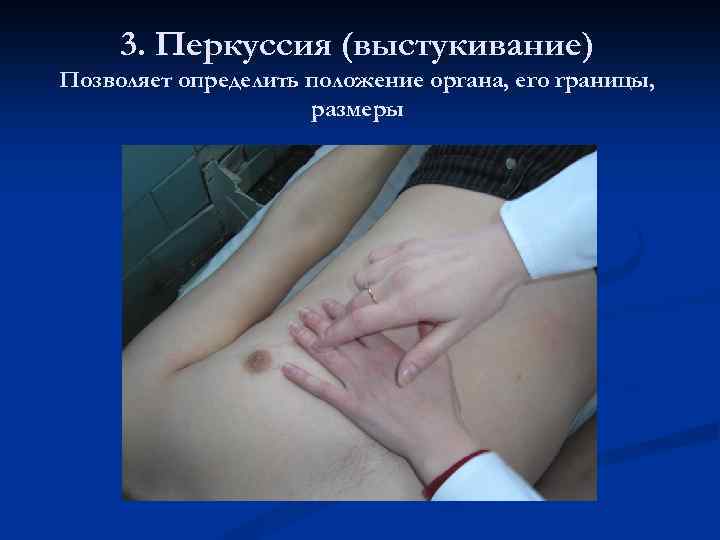 3. Перкуссия (выстукивание) Позволяет определить положение органа, его границы, размеры 