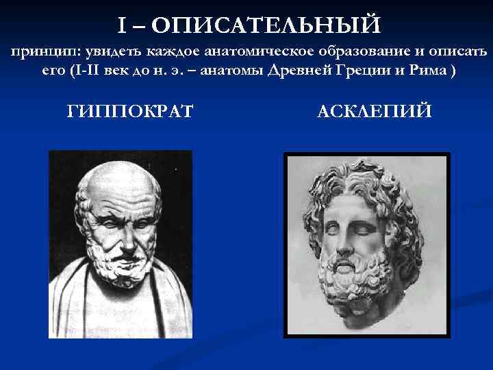 I – ОПИСАТЕЛЬНЫЙ принцип: увидеть каждое анатомическое образование и описать его (I-II век до