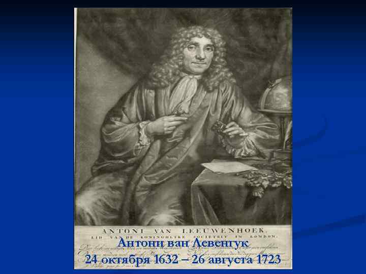 Антони ван Левенгук 24 октября 1632 – 26 августа 1723 