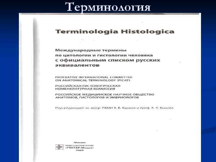 Терминология 