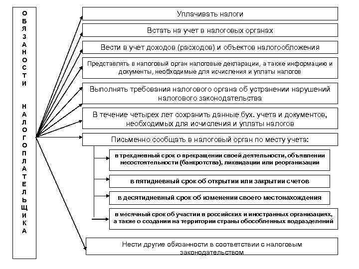 Заполните схему роль налогообложения в государстве откуда поступают куда идут