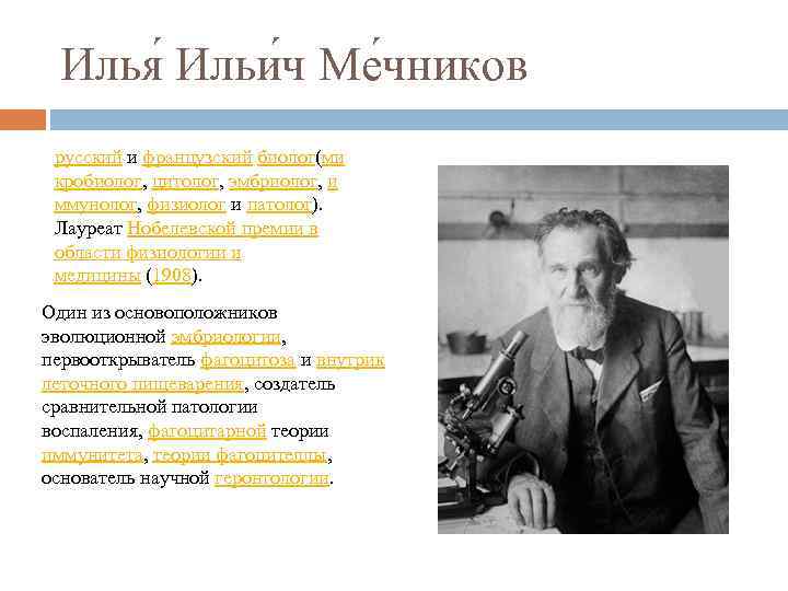 Илья Ильи ч Ме чников русский и французский биолог(ми кробиолог, цитолог, эмбриолог, и ммунолог,