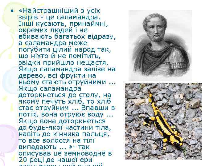  • «Найстрашніший з усіх звірів - це саламандра. Інші кусають, принаймні, окремих людей