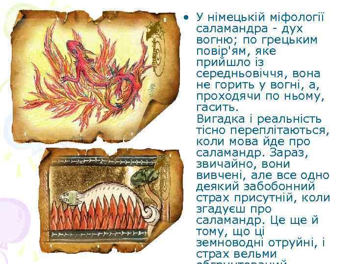  • У німецькій міфології саламандра - дух вогню; по грецьким повір'ям, яке прийшло