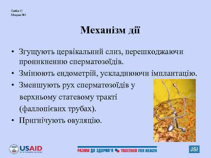 Слайд 15 Модуль № 5 Механізм дії • Згущують цервікальний слиз, перешкоджаючи проникненню сперматозоїдів.