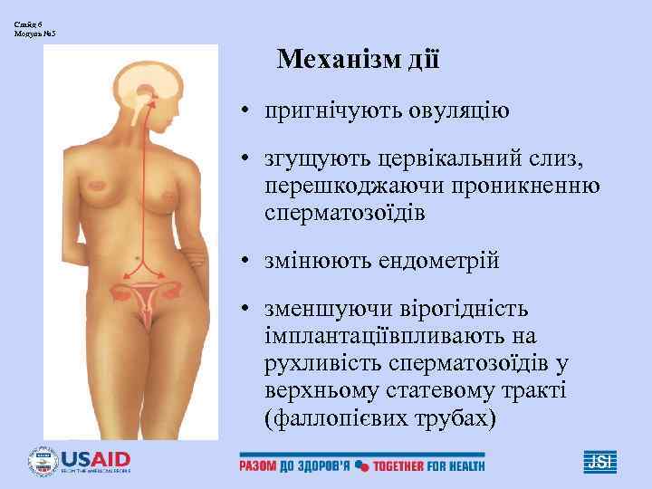 Слайд 6 Модуль № 5 Механізм дії • пригнічують овуляцію • згущують цервікальний слиз,