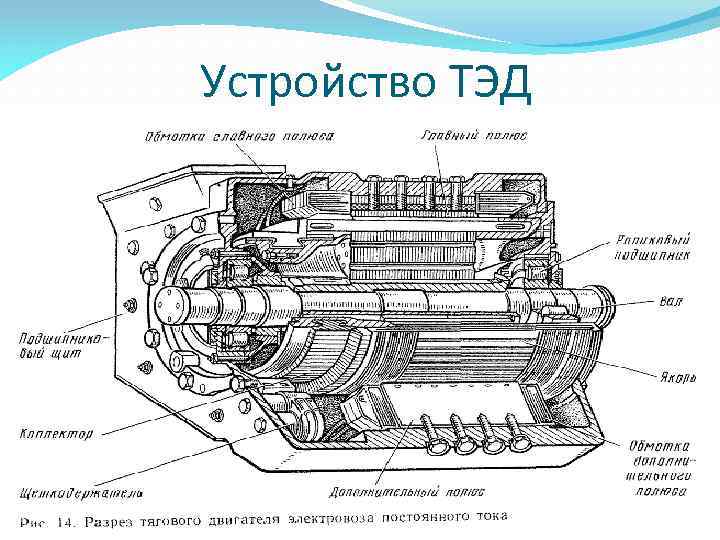 Устройство ТЭД 