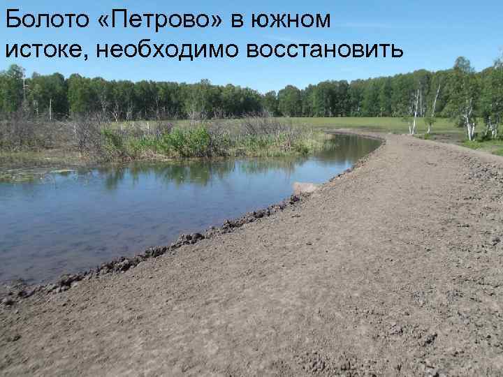 Болото «Петрово» в южном истоке, необходимо восстановить 