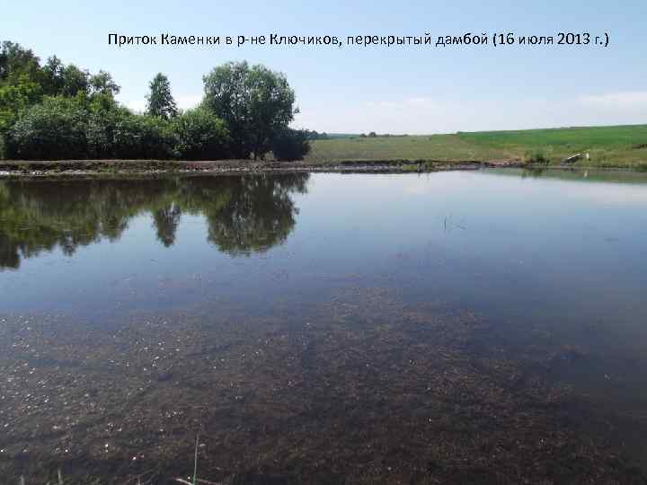 Приток Каменки в р-не Ключиков, перекрытый дамбой (16 июля 2013 г. ) 