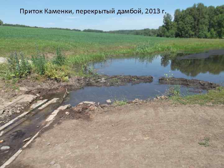 Приток Каменки, перекрытый дамбой, 2013 г. 