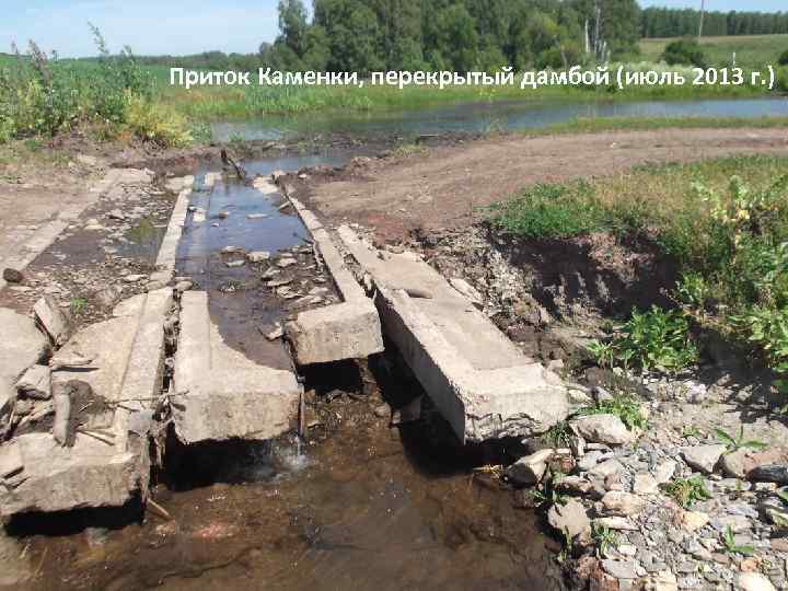 Приток Каменки, перекрытый дамбой (июль 2013 г. ) 
