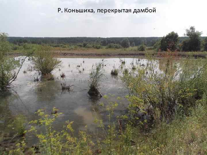 Р. Коньшиха, перекрытая дамбой 
