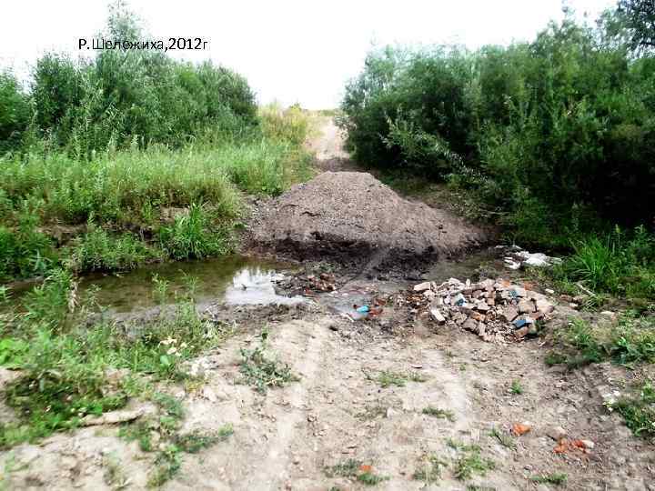 Р. Шележиха, 2012 г 