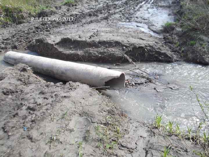Р. ШЕЛЕЖИХА 2013 г 
